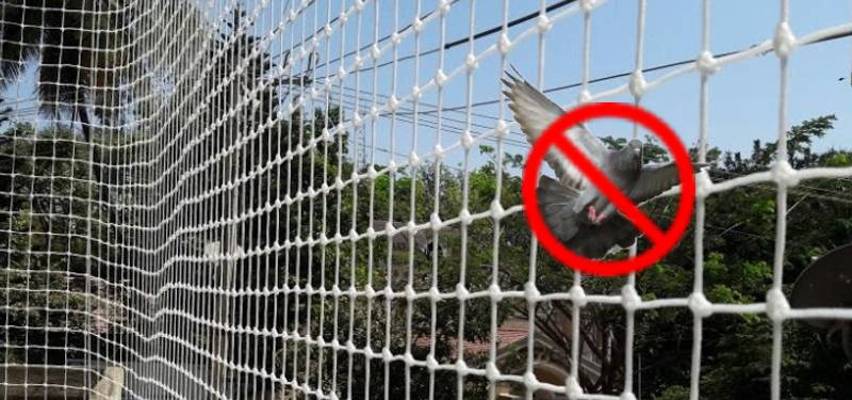 Pigeon Safety Nets in Bangalore